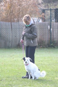 IMG_61611