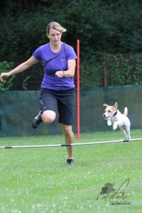IMG 71261