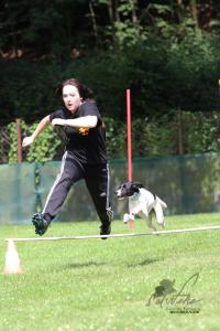 IMG 75111